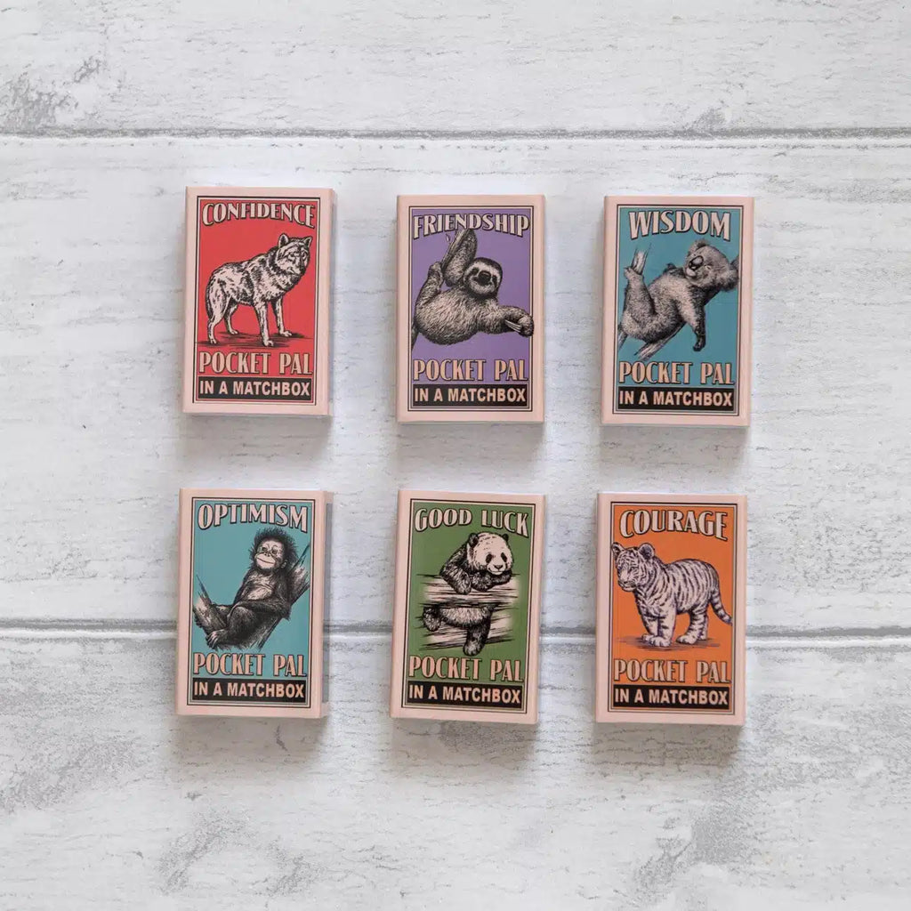 Marvling Bros - Friendship Pocket Pal in a Matchbox - Sloth | nzweekend