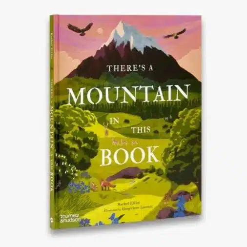 There's A Mountain In This Book - Rachel Elliot | nzweekend