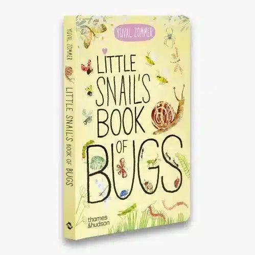 Little Snail's Book Of Bugs board book - Yuval Zommer | nzweekend