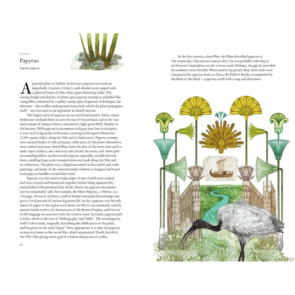 Around The World in 80 Plants - Jonathan Drori | nzweekend