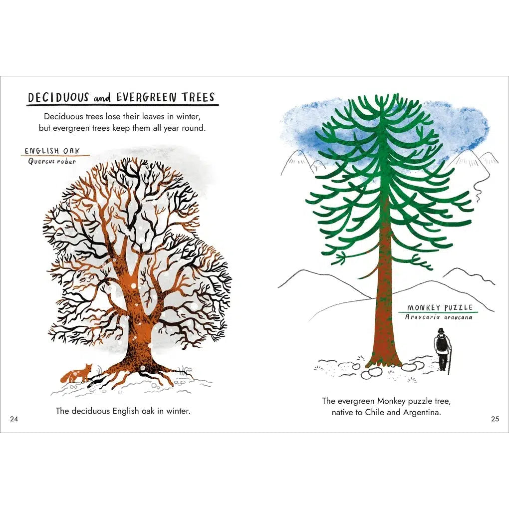 Hello Trees: A Little Guide To Nature - Nina Chakrabarti | nzweekend