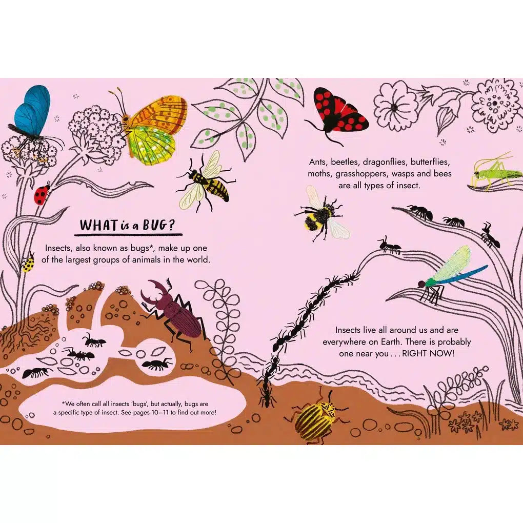 Hello Bugs: A Little Guide To Nature - Nina Chakrabarti | nzweekend