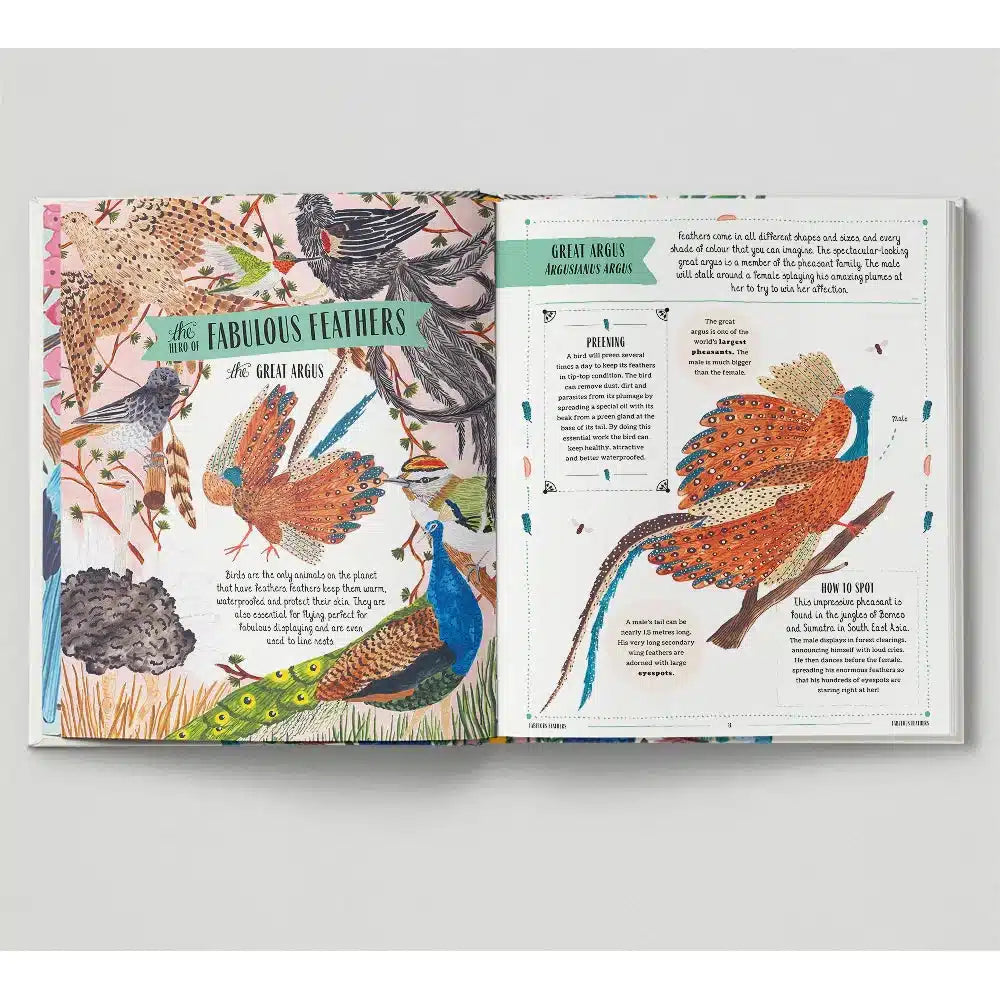 Fly: A Child's Guide to Birds & How to Spot Them - David Lindo | nzweekend